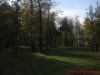 Детский парк Детский парк